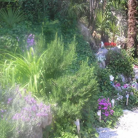 Apartament Nena With Private Free Parking