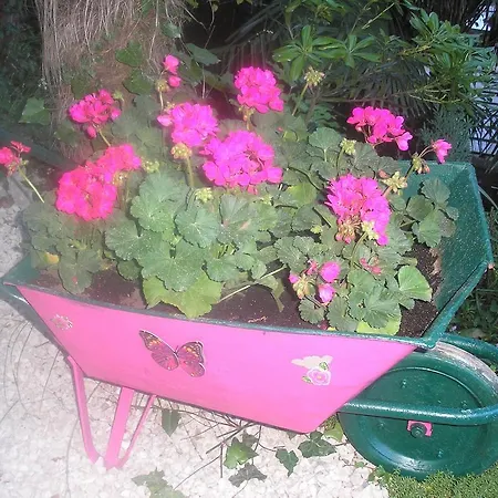 公寓 Nena With Private Free Parking 奥帕提亚